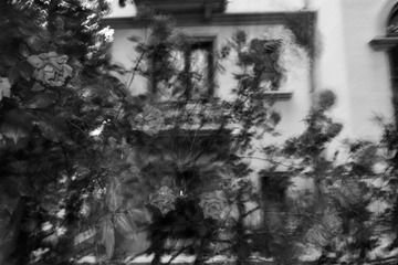 EF3E38B0-1407-4600-892B-E0AD3B4B11E7/L0/001