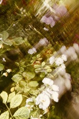 31BFD4B4-1F60-413A-953D-6D2089218BA9/L0/001