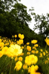 BDF26A7E-81C5-4214-96B9-934EC019B7BA/L0/001