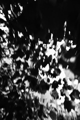 FA6A078E-AAB2-4495-B28C-B49DD2D082CE/L0/001