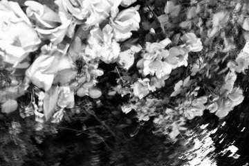F2A47222-D0F2-4EF4-957B-15AA39E79FA6/L0/001