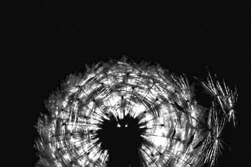 430E80D4-516D-44FA-9DEB-A4E3247776C5/L0/001