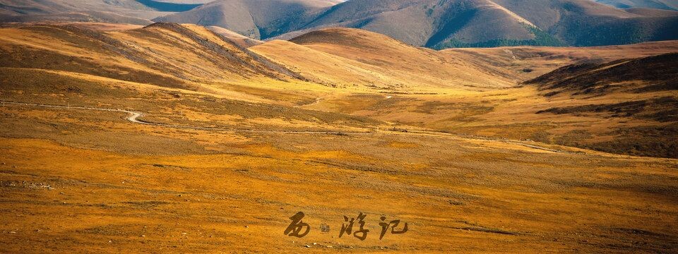 _DSC0178<br />
