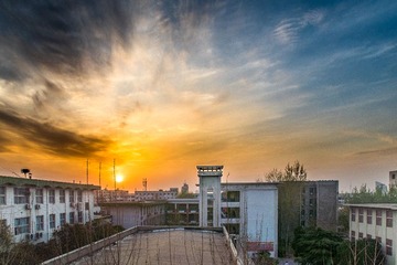 IMG_2591_1