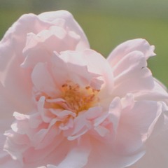 24410618-39F1-4CC4-A32A-5303D679BB87/L0/001