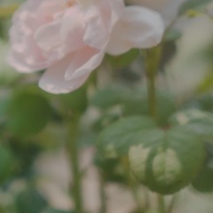 B1927590-9536-4A95-870C-B156718F7A1B/L0/001