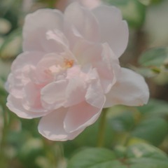 7C6F64F5-B3BE-41C2-901D-E108CCBC9F44/L0/001