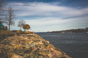 ZYR_4913.jpg