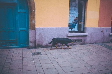 ZYR_6842.jpg