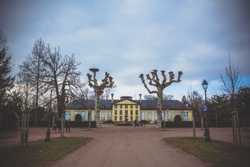 ZYR_7227.jpg