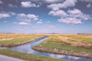 ZYR_0077.jpg