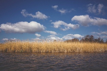 ZYR_9870-2.jpg