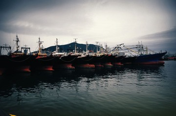 WIC_9910.jpg