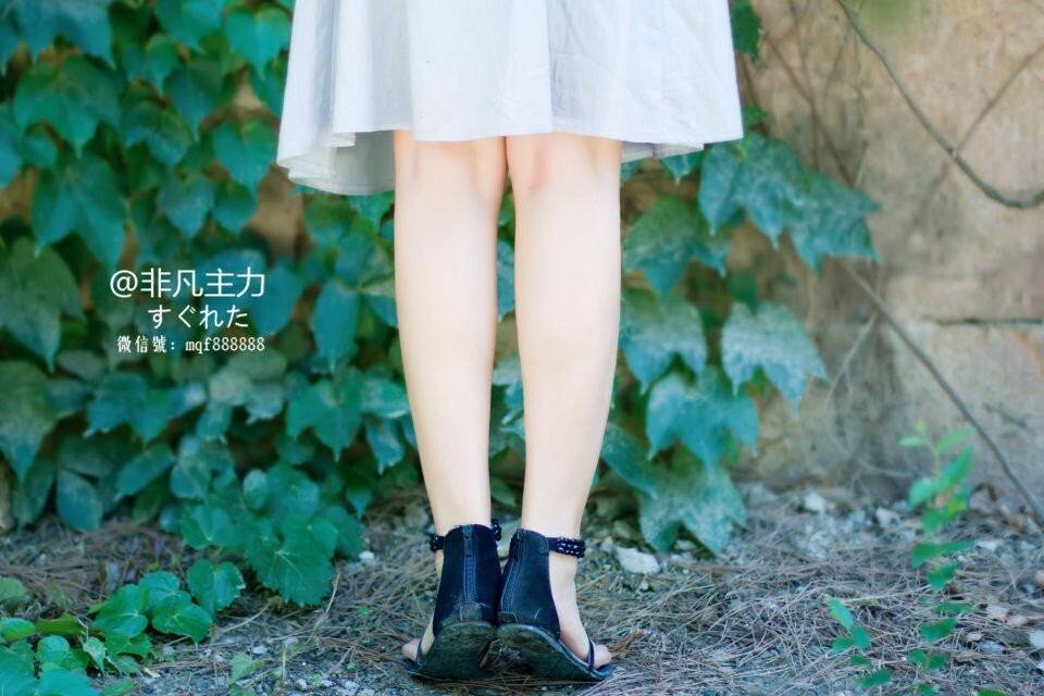 非凡主力腾讯号：452926729