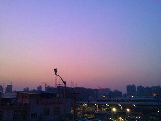 WP_002658.jpg