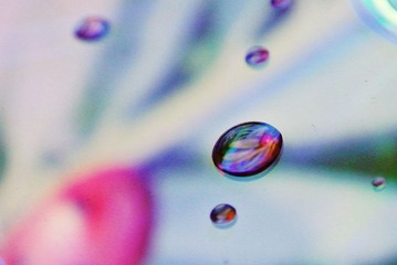 DSC_3891_调整大小.JPG