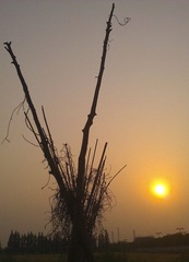 WP_003353.jpg