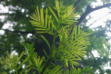 WP_003935.jpg