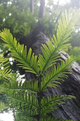 WP_003937.jpg