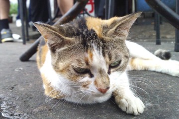 WP_003956.jpg