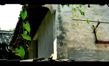 DSC_0444.jpg