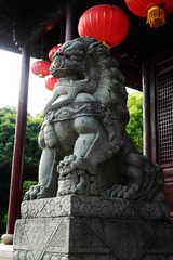 SAM_0158.jpg