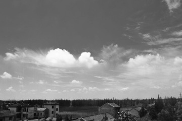 DSC_1118.jpg
