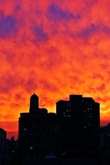 DSC_6709.jpg