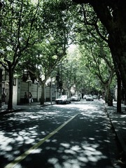 R9264831.JPG