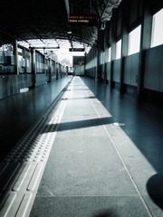R9264913.JPG
