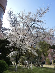 CIMG0208.jpg