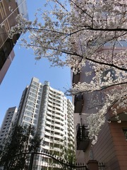 CIMG0214.jpg