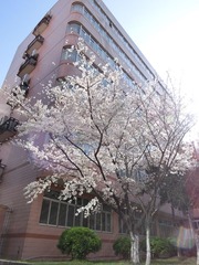 CIMG0215.jpg