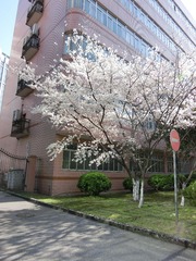 CIMG0216.jpg