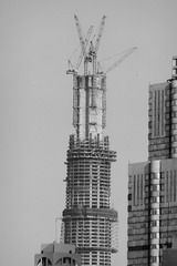 CIMG0631.jpg