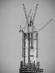 CIMG0632.jpg