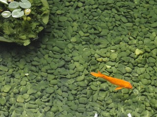 CIMG0261.jpg