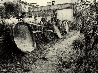 村中小径