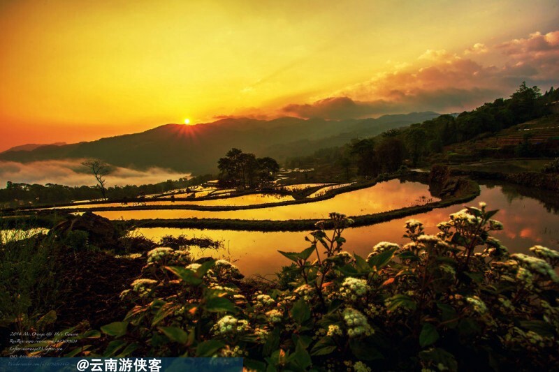 追光逐影
