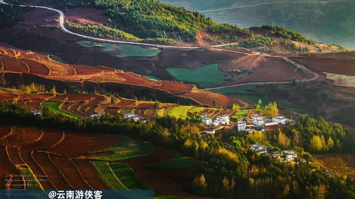 追光逐影