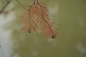 410C301A-CE4C-49AA-8F2A-E9C54AC4AA51/L0/001