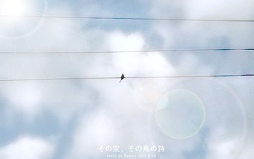 鸟之诗2