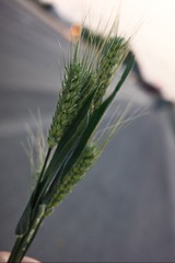 61E0D5F2-E611-4CBD-B381-DD84389C6C1A/L0/001