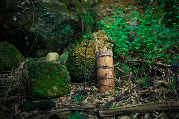 _DSC9090