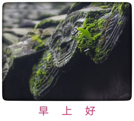 558567