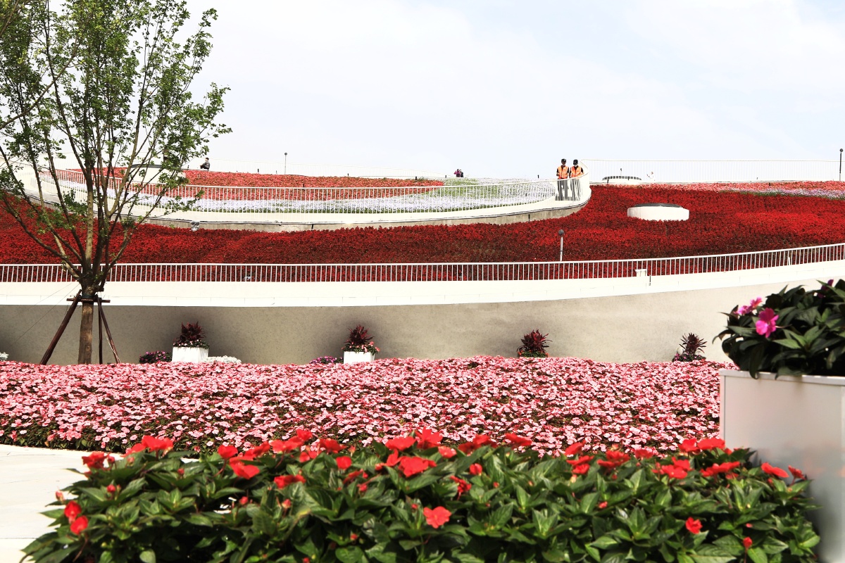 上海花博会层顶花园给力