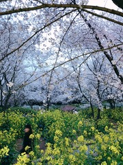 8D0F0F76-FD0B-4996-AA03-1BB24131215E/L0/001