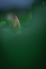 2107