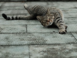 4708