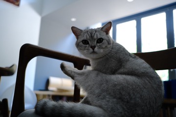 1502
